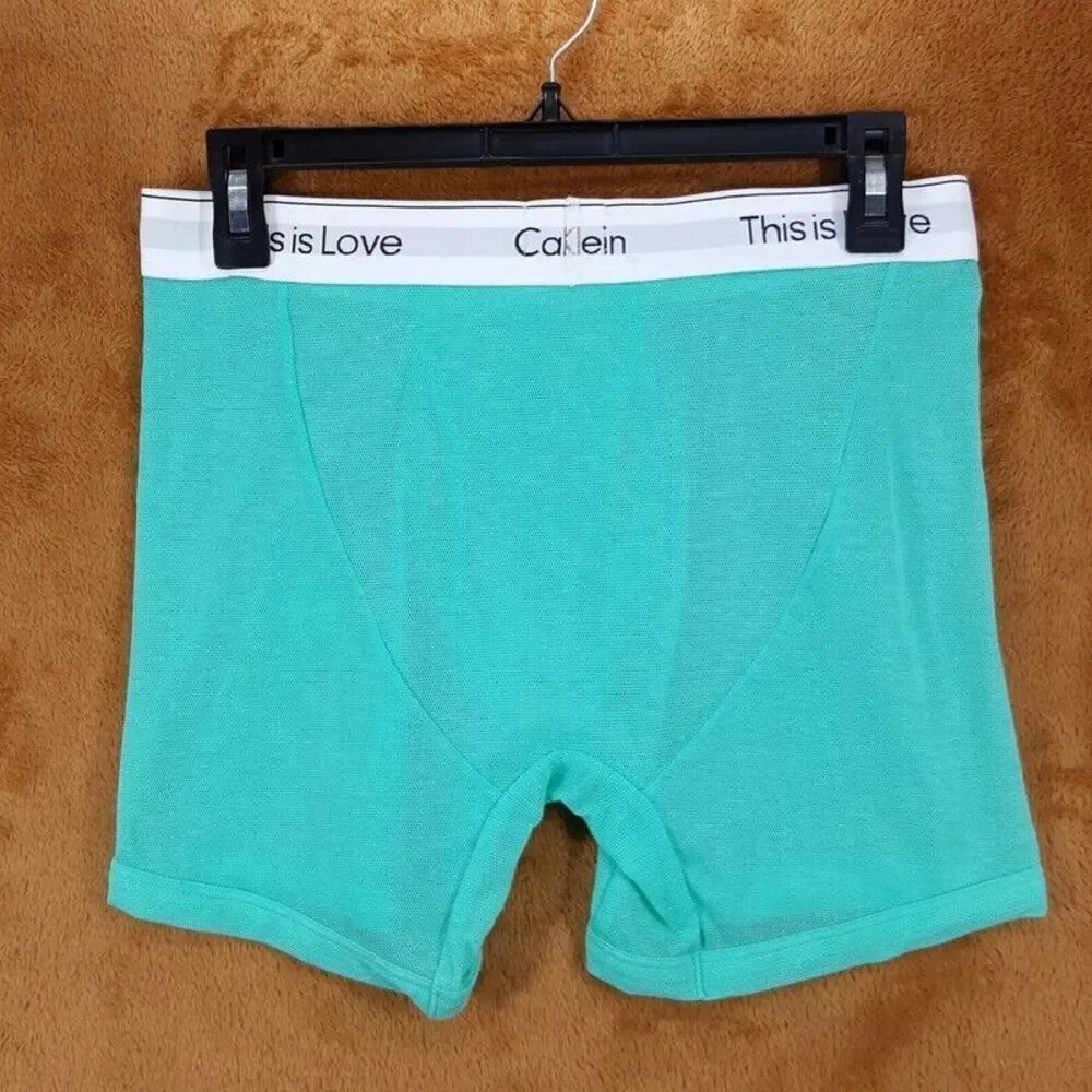CALVIN KLEIN Mens Large Aqua Green Mesh This is Love Boxer Briefs